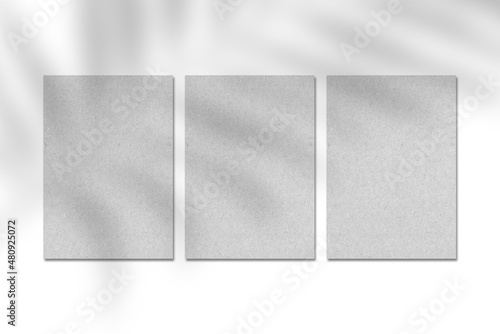 Three blank grey kraft paper cards, vertical A4 poster or business card mockup on a white background with leaf shadow. Flat lay, top view. For advertising, brand design, stationery presentation.