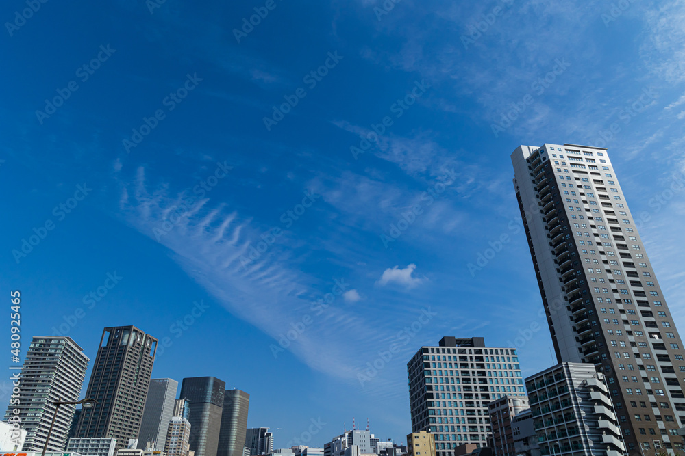 Fototapeta premium 都市景観