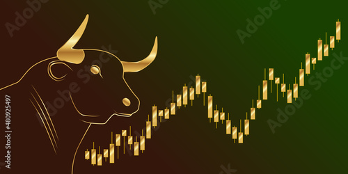 Bull Market Stock Crypto Gold