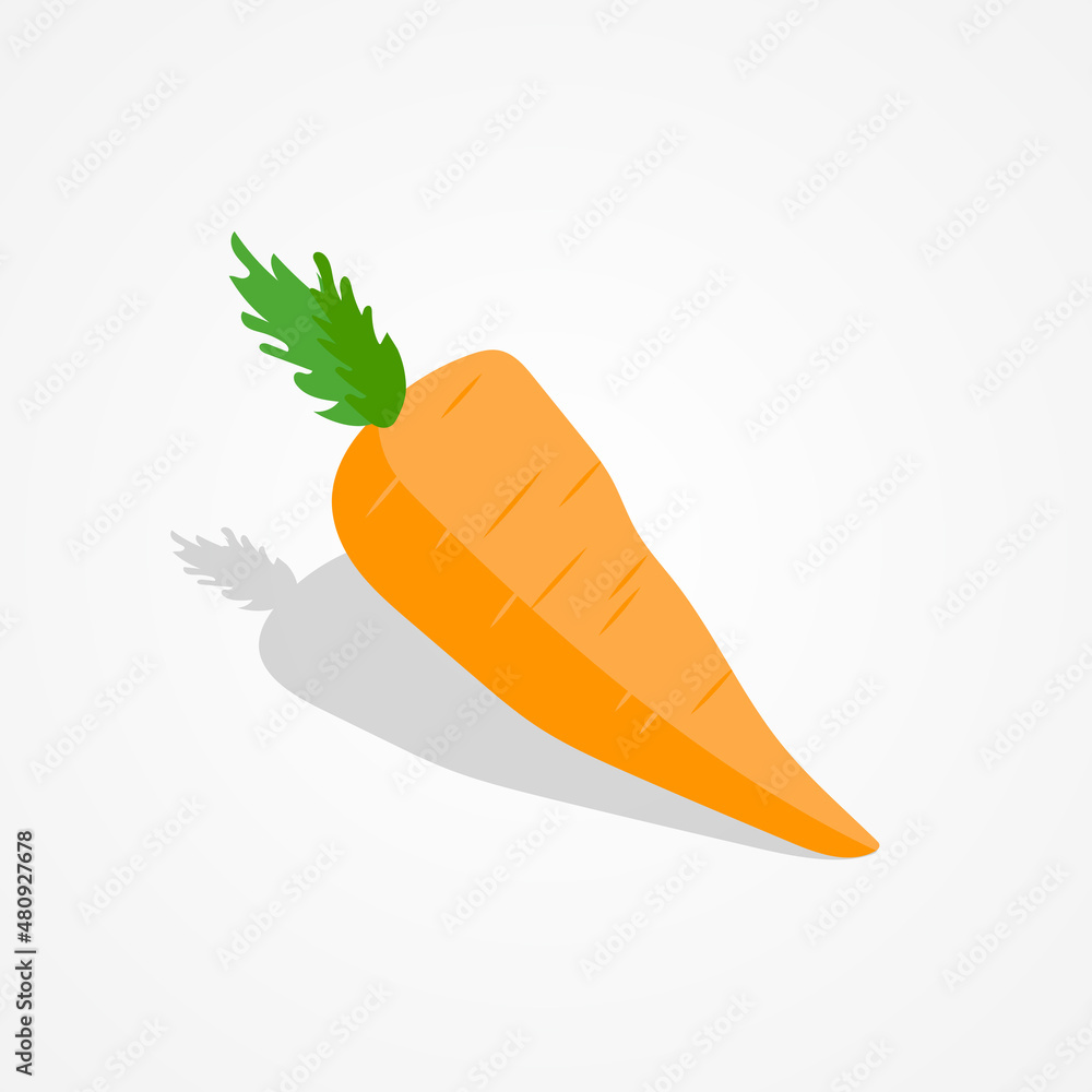Flat design carrot illustration on isolated background Flat design carrot illustration on isolated background