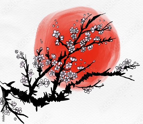 Fiori di Ciliegio illustrazione di rami di ciliegio e sole in stile giapponese photo
