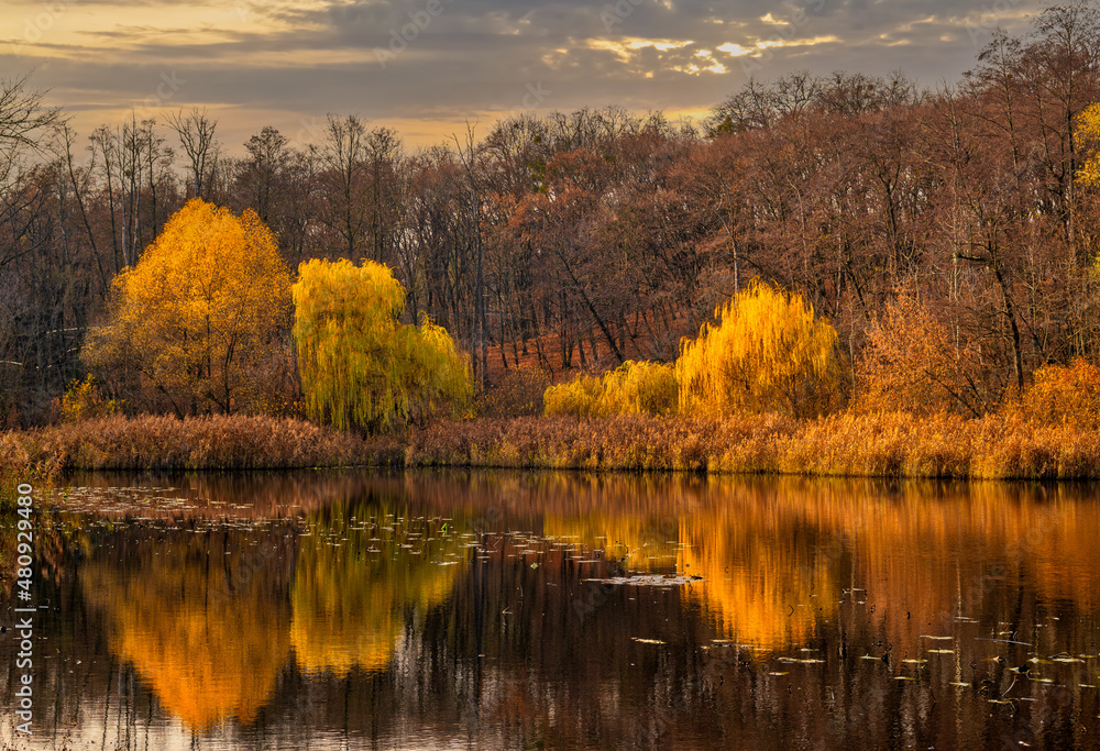 Obraz premium Trees painted in autumn colors are reflected in the waters of the river. Nice autumn weather.