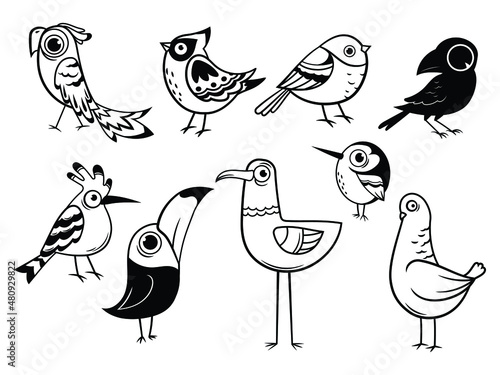 Set of different exotic birds. Collection of forest bird crow, bullfinch, sparrow, woodpecker, pigeon etc. Vector illustration of animal different poses isolated on white background.
