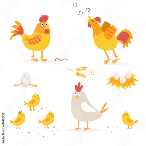 Farm animals. Chicken, chickens, rooster. Chicken eggs.