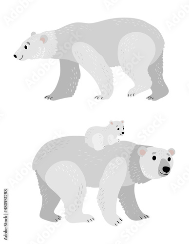 White bears. A bear with a cub. vector. 