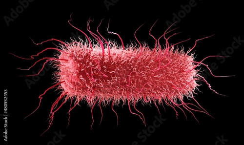 Escherichia coli, this rod-shaped E.coli bacteria or salmonella with peritrichous flagella can cause acute urinary tract infections, abdominal cramps or typhoid fever. 3d graphic photo