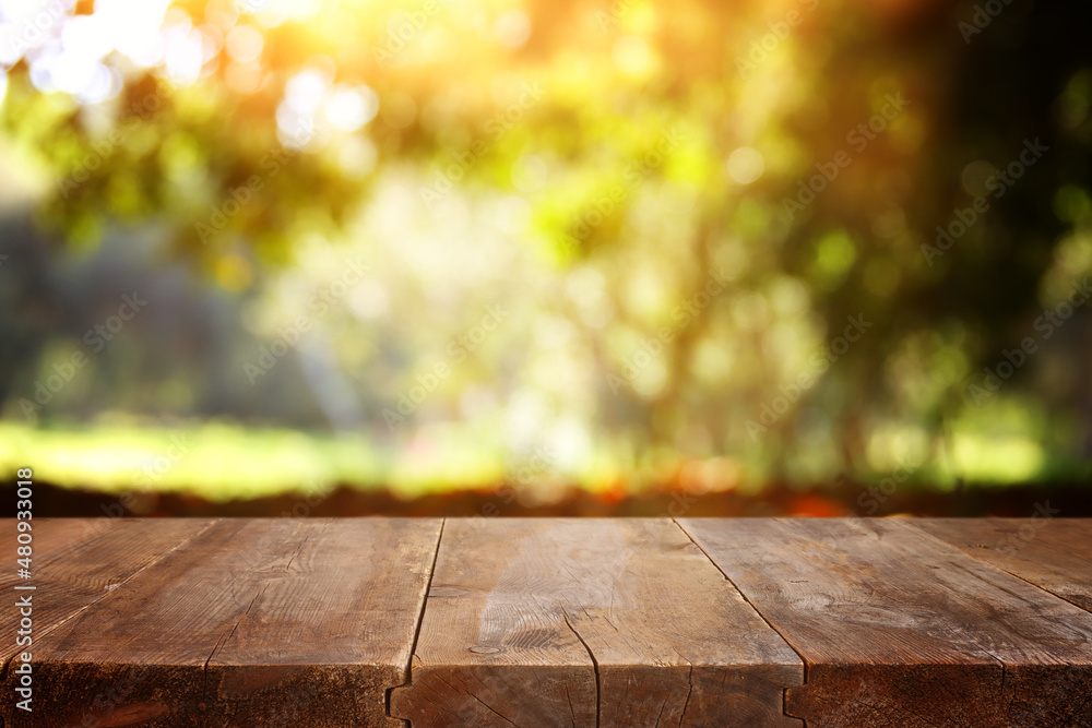 Empty rustic table in front of countryside background. product display and picnic concept Empty rustic table in front of countryside background. product display and picnic concept