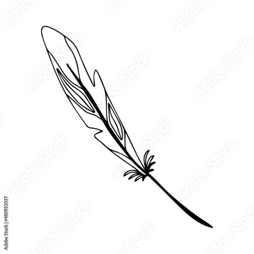 Hand drawn bird feather on a white isolated background. Doodle, simple outline illustration. It can be used for decoration of textile, paper and other surfaces.