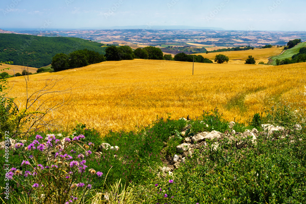 Fototapeta premium Landscape in Campobasso province, Molise, Italy