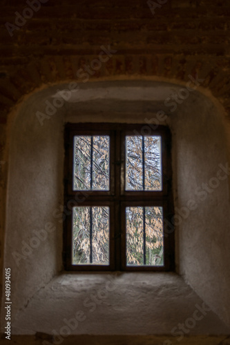 Old Closed Wooden Window. View Of A Park Through A Window.