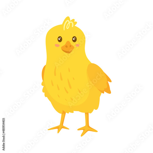 Cute happy yellow chick. Side view. Vector