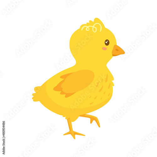 Cute happy yellow chick. Side view. Vector
