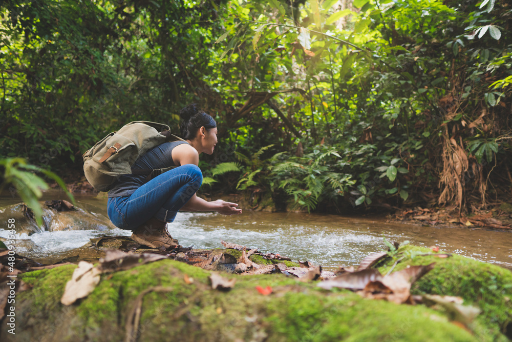 Hiker woman attractive traveler adventure wilderness.