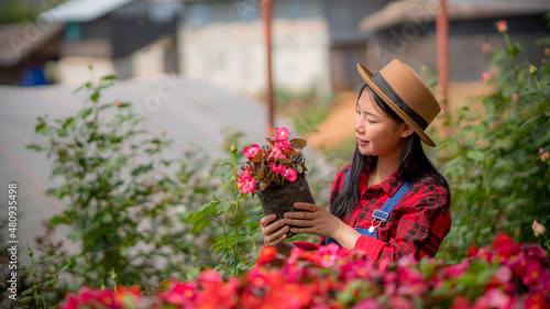 asian woman in rose flower plantation. © HappyTime 17