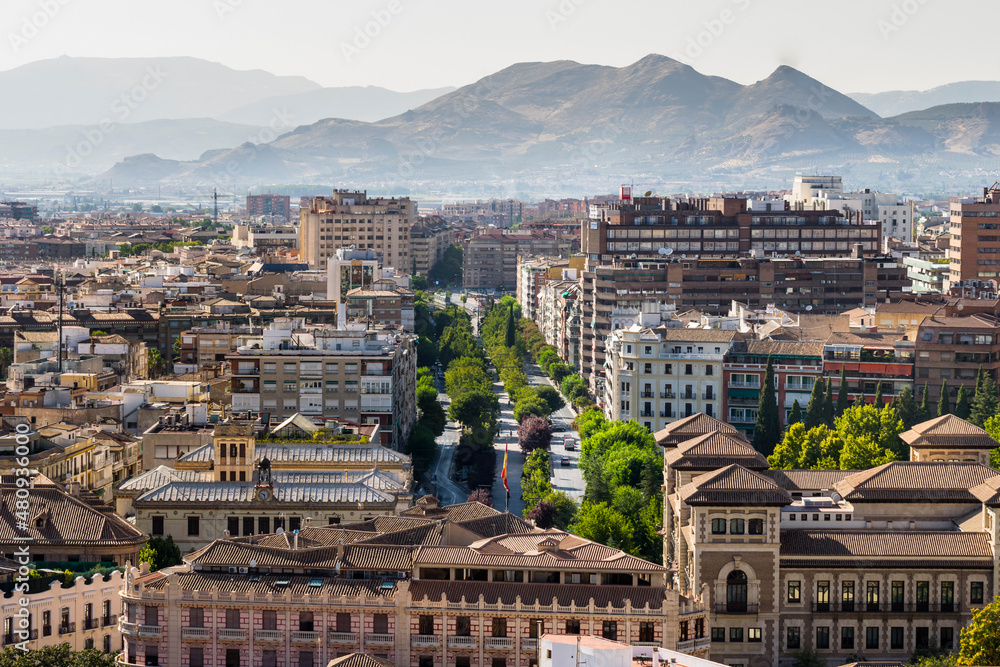 Fototapeta premium Vista aerea de avenida principal de ciudad con arboles y edificios