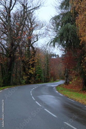 Wallpaper Mural El Otoño en las Rutas de Francia le dan su color rojo Torontodigital.ca