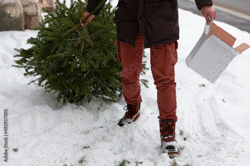 Old Christmas tree recycling, a man carrying a green pine in the trash after Christmas and New year holiday.