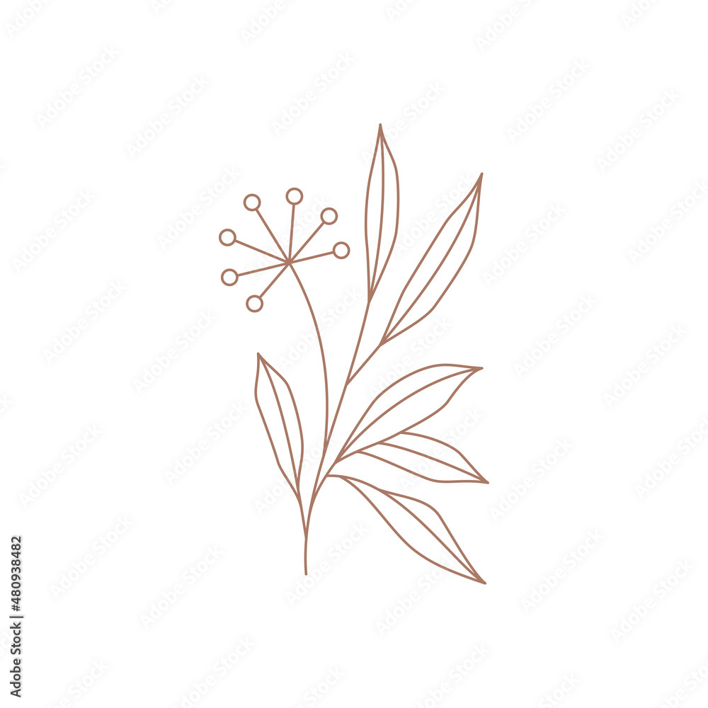 Abstract line art dandelion with stem and leaves floral blossom logo vector illustration Abstract line art dandelion with stem and leaves floral blossom logo vector illustration