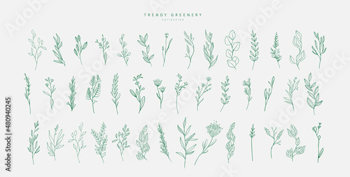 Floral branch and minimalist flowers for logo or tattoo. Hand drawn line wedding herb, elegant leaves for invitation save the date card. Botanical rustic trendy greenery