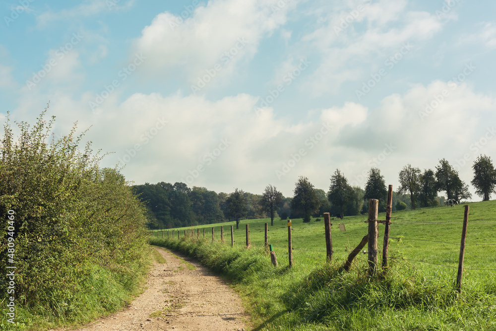 Dirt road with a fence in rolling sunny countryside under a blue cloudy sky. Dirt road with a fence in rolling sunny countryside under a blue cloudy sky.