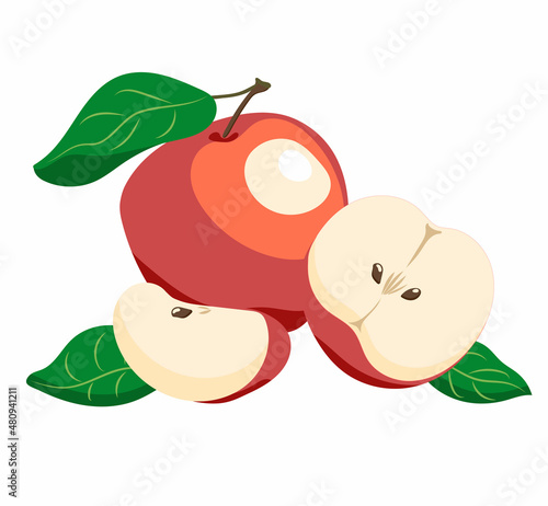 Vector of red apple, sliced one and a halved one isolated on white background