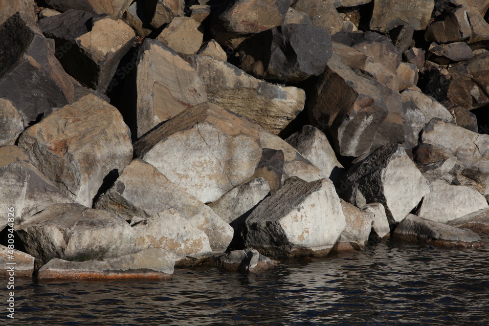 birds on the rocks