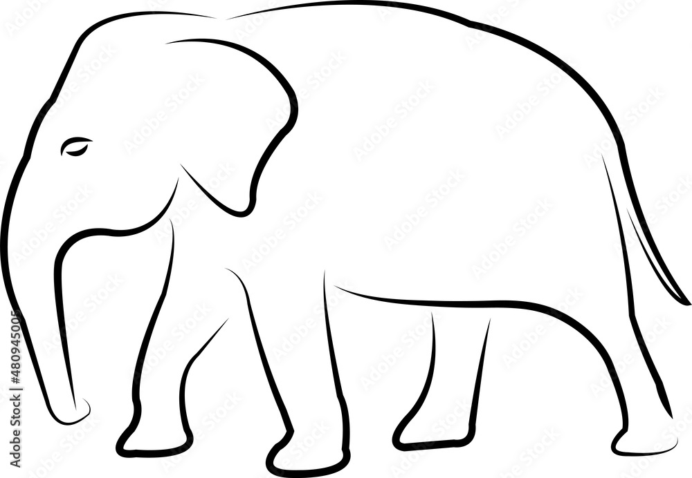 elephant line art - vector artwork elephant line art - vector artwork