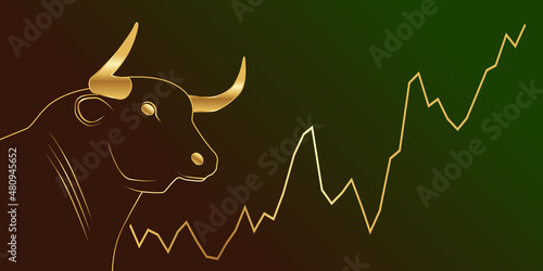 Bull Market Stock Crypto Gold Line