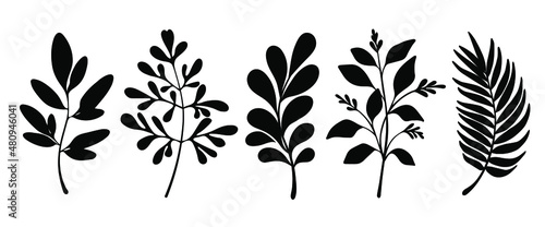 Tableau sur Toile Set of leaves silhouette of beautiful plants, leaves, plant design