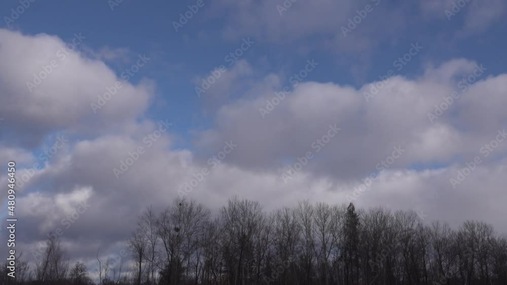 Clouds strong wind drives over the trees. Clouds strong wind drives over the trees.