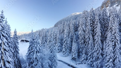 Élévation drone au dessus de la forêt. Paysage d’hiver, maison recouverte de neige. Jura. Ciel bleu.