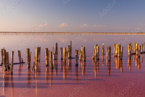 Salt on a pink salt lake at sunset. Pink Salt Lake Torrevieja. photo