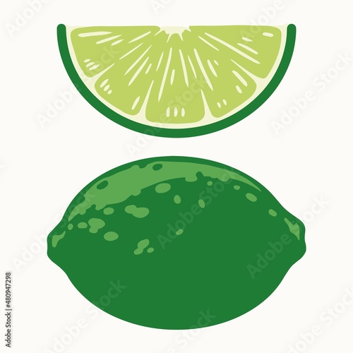 Whole lime and slice of it in vintage style