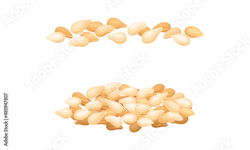 Cereal grains set. Wheat, barley or rye grains vector illustration
