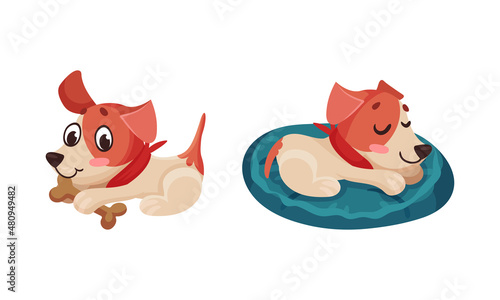 Cute puppy daily routine set. Adorable little pet animal eating and sleeping cartoon vector illustration