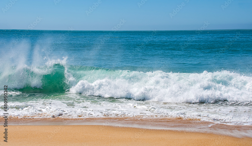 Fototapeta premium the perfect wave on the west coast of Portugal, Nazare