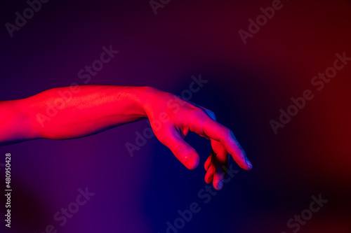 Studio shot of aethentic human hands isolated on purple studio background in neon light. Concept of human relation, community, togetherness