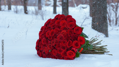red heart in snow