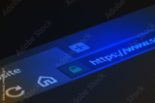 Web browser closeup on LCD screen with shallow focus on https word