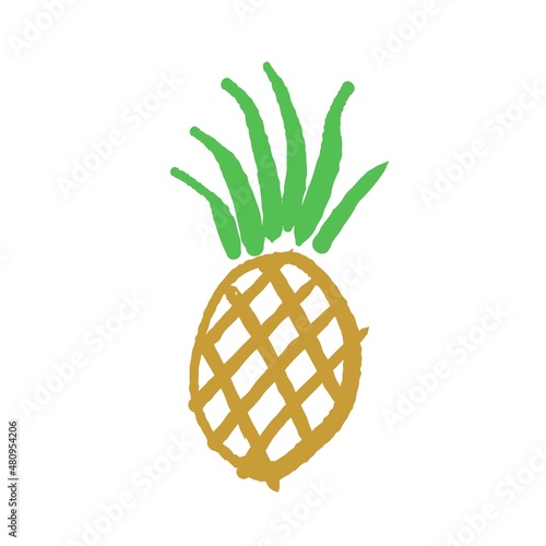 Pineapple fruit simple sketch