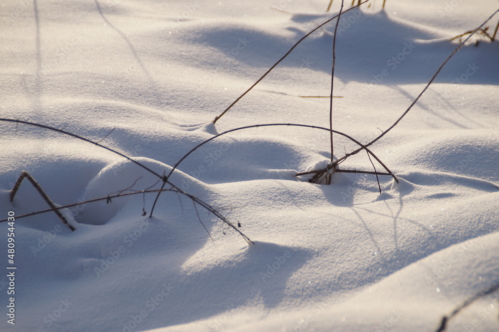 snow covered grass