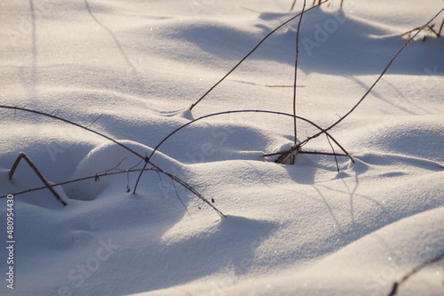 Obraz na płótnie snow covered grass w salonie