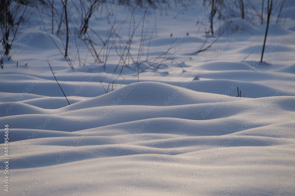 snow covered trees