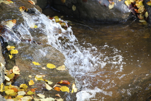 waterfall in autumn forest