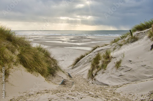 Dunes at the Beach of Amrum, Germany, Europe photo