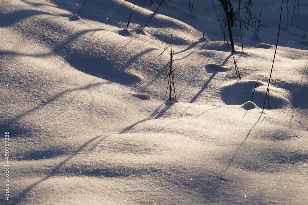traces on snow