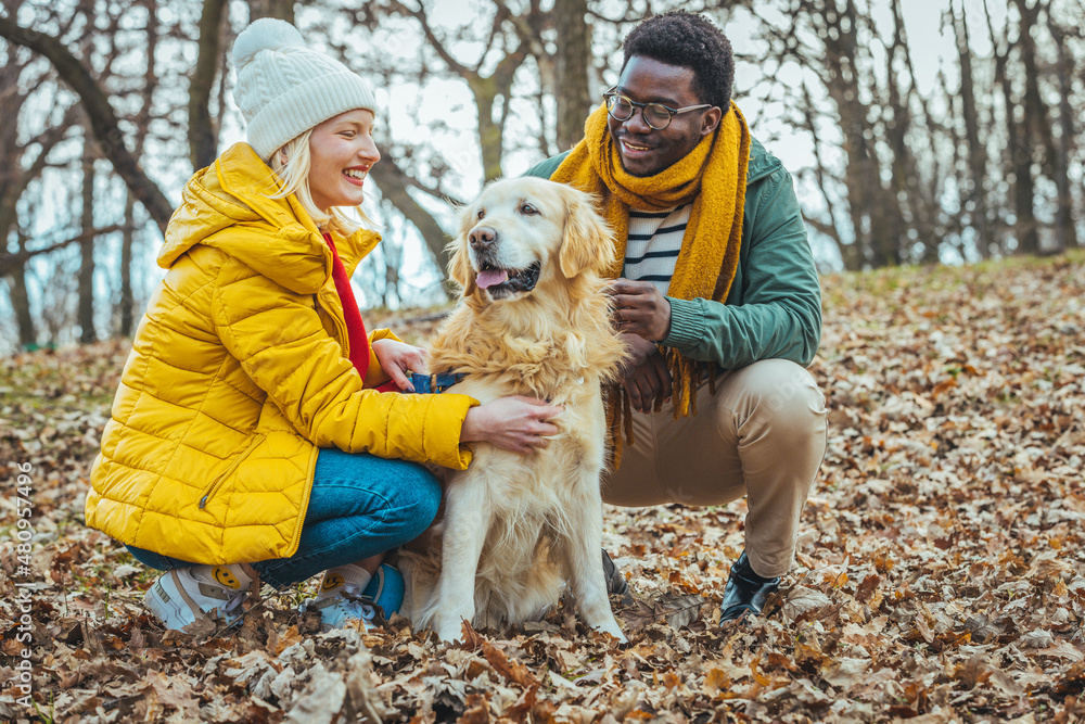 Young couple having picnic with their dog in the park. Focus is on the dog. Family time outdoors. Lifetime concept. Loving Couple Walking With Pet Golden Retriever Dog