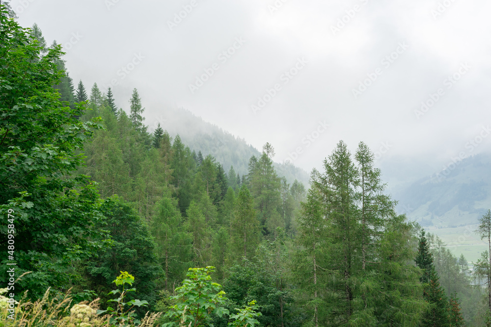 Alpine mountains in Austria. Grosglockner road in fog