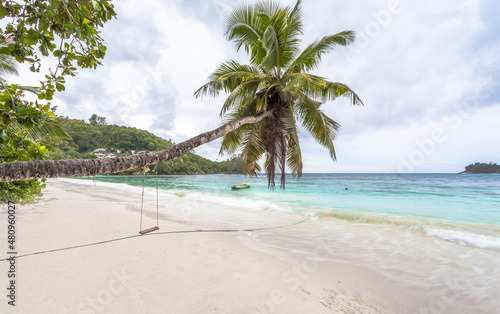 Balançoire sur cocotier penché, Anse Boileau, Mahé, Seychelles 