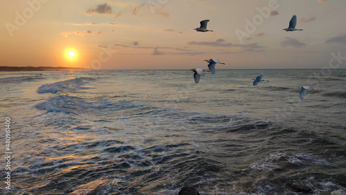 The Sea sunset,sea landscape,sea water surface lit by sunset summer light